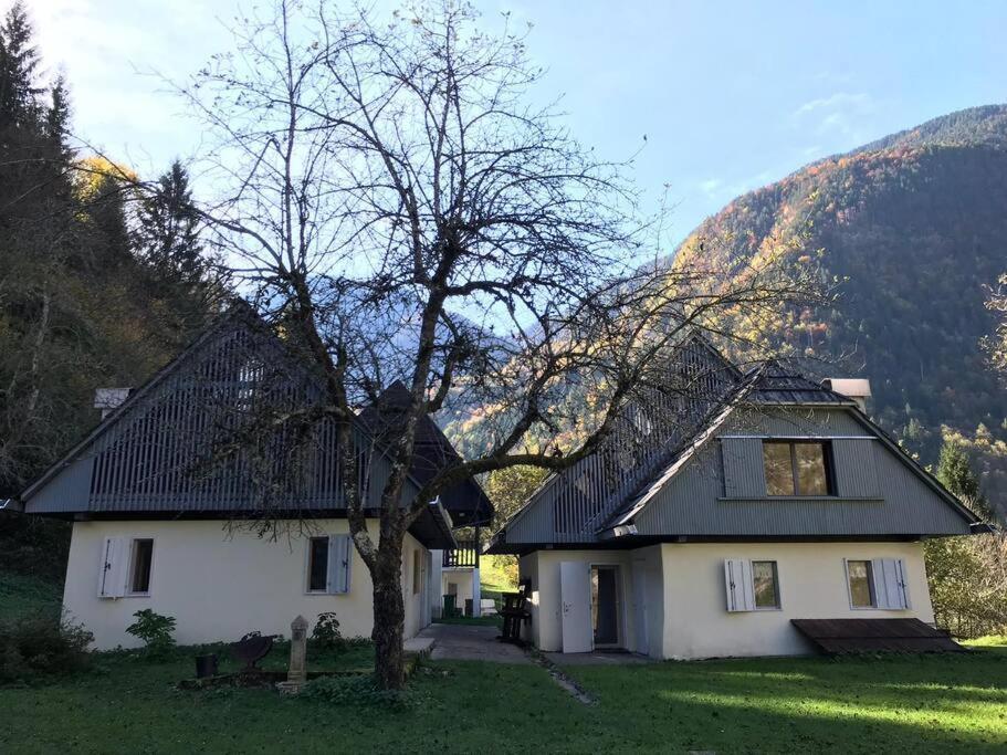 Cozy Cottage In The Heart Of The Triglav National Park Soča Εξωτερικό φωτογραφία