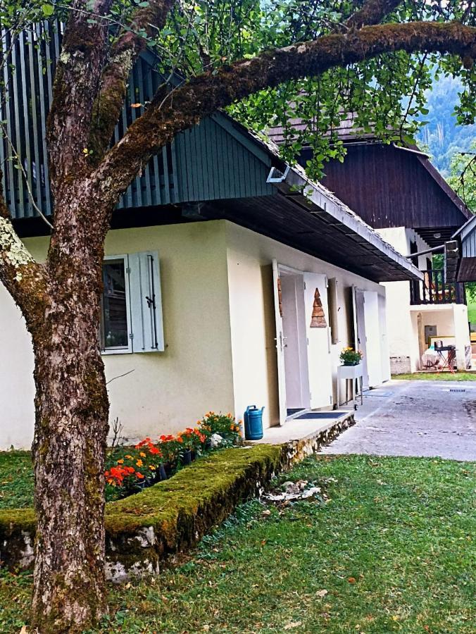 Cozy Cottage In The Heart Of The Triglav National Park Soča Εξωτερικό φωτογραφία