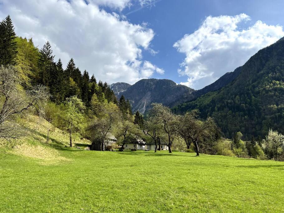 Cozy Cottage In The Heart Of The Triglav National Park Soča Εξωτερικό φωτογραφία