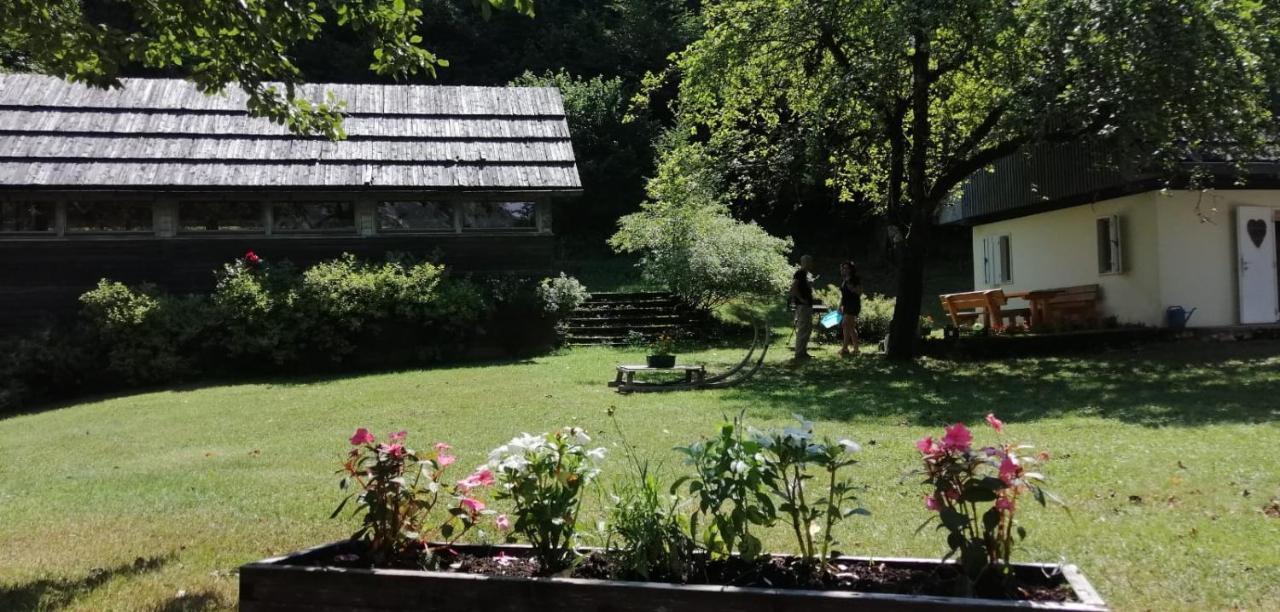 Cozy Cottage In The Heart Of The Triglav National Park Soča Εξωτερικό φωτογραφία