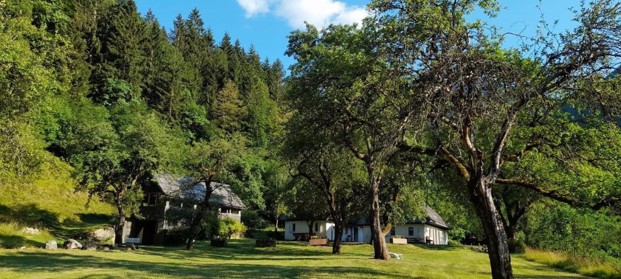 Cozy Cottage In The Heart Of The Triglav National Park Soča Εξωτερικό φωτογραφία
