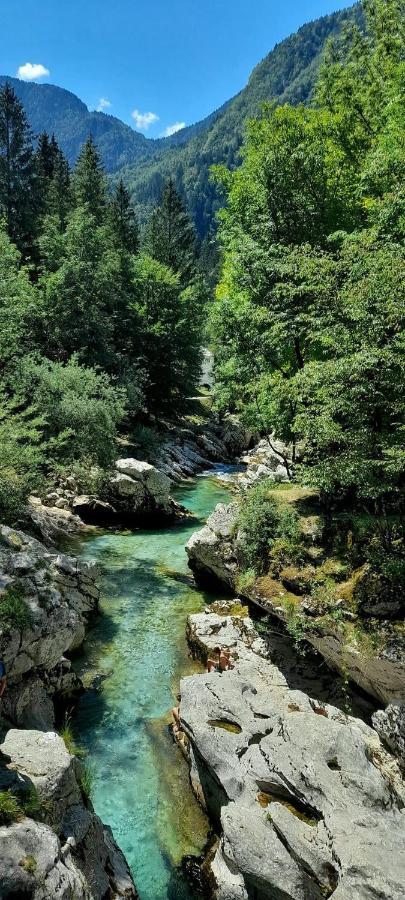 Cozy Cottage In The Heart Of The Triglav National Park Soča Εξωτερικό φωτογραφία