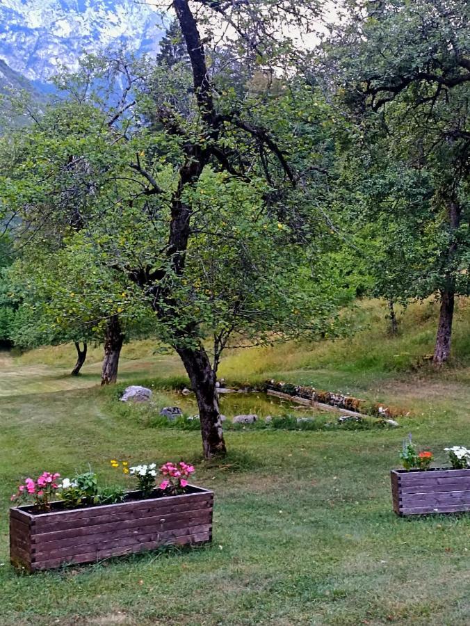 Cozy Cottage In The Heart Of The Triglav National Park Soča Εξωτερικό φωτογραφία