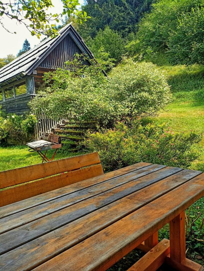Cozy Cottage In The Heart Of The Triglav National Park Soča Εξωτερικό φωτογραφία