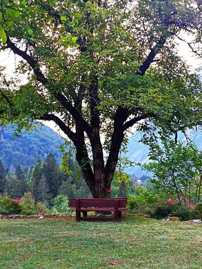 Cozy Cottage In The Heart Of The Triglav National Park Soča Εξωτερικό φωτογραφία